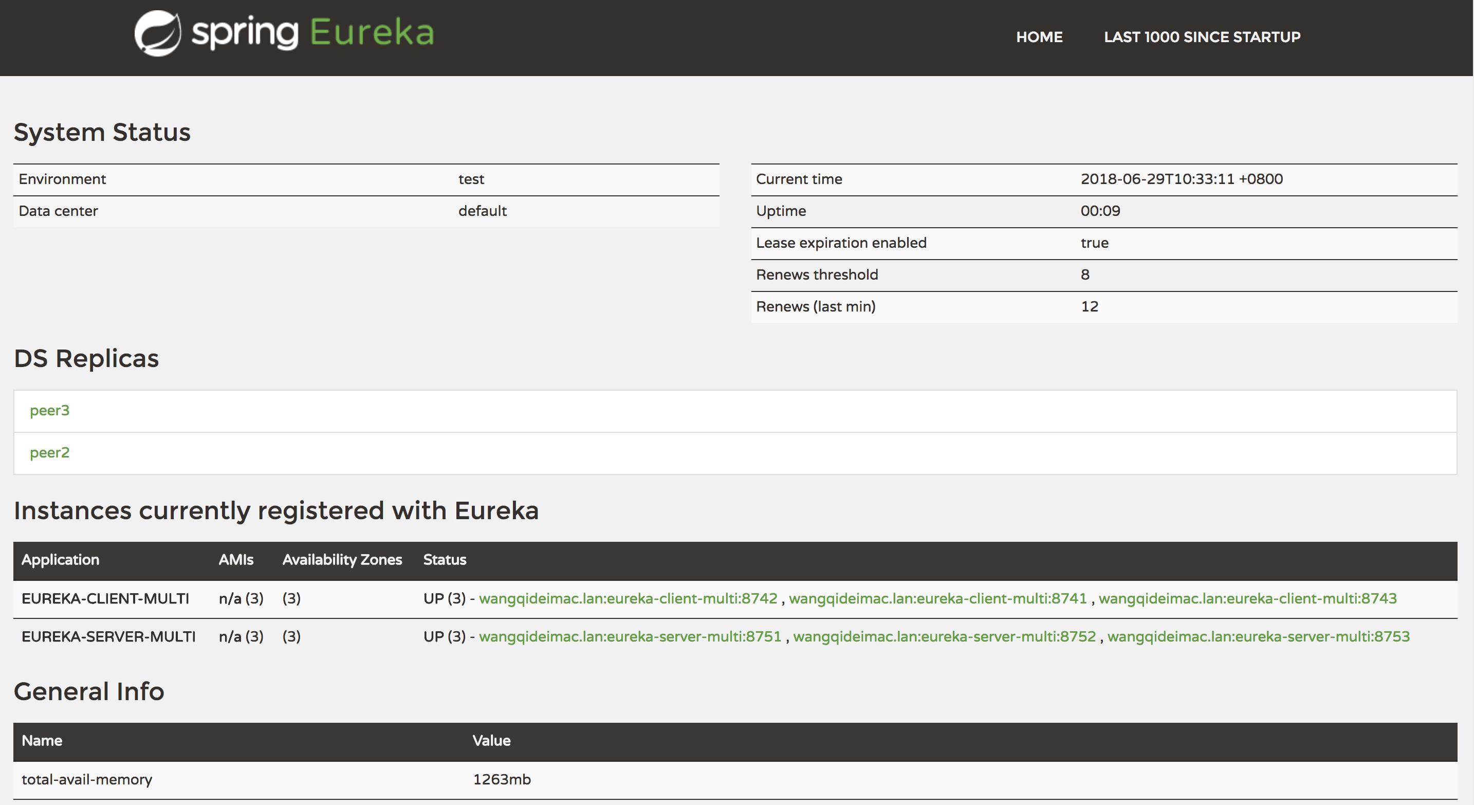 eureka-client-multi